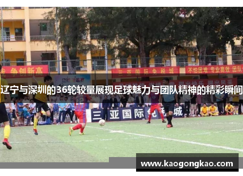 辽宁与深圳的36轮较量展现足球魅力与团队精神的精彩瞬间